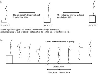 Kinetic variables of the lower limb joint that affect the drop jump index at different drop heights